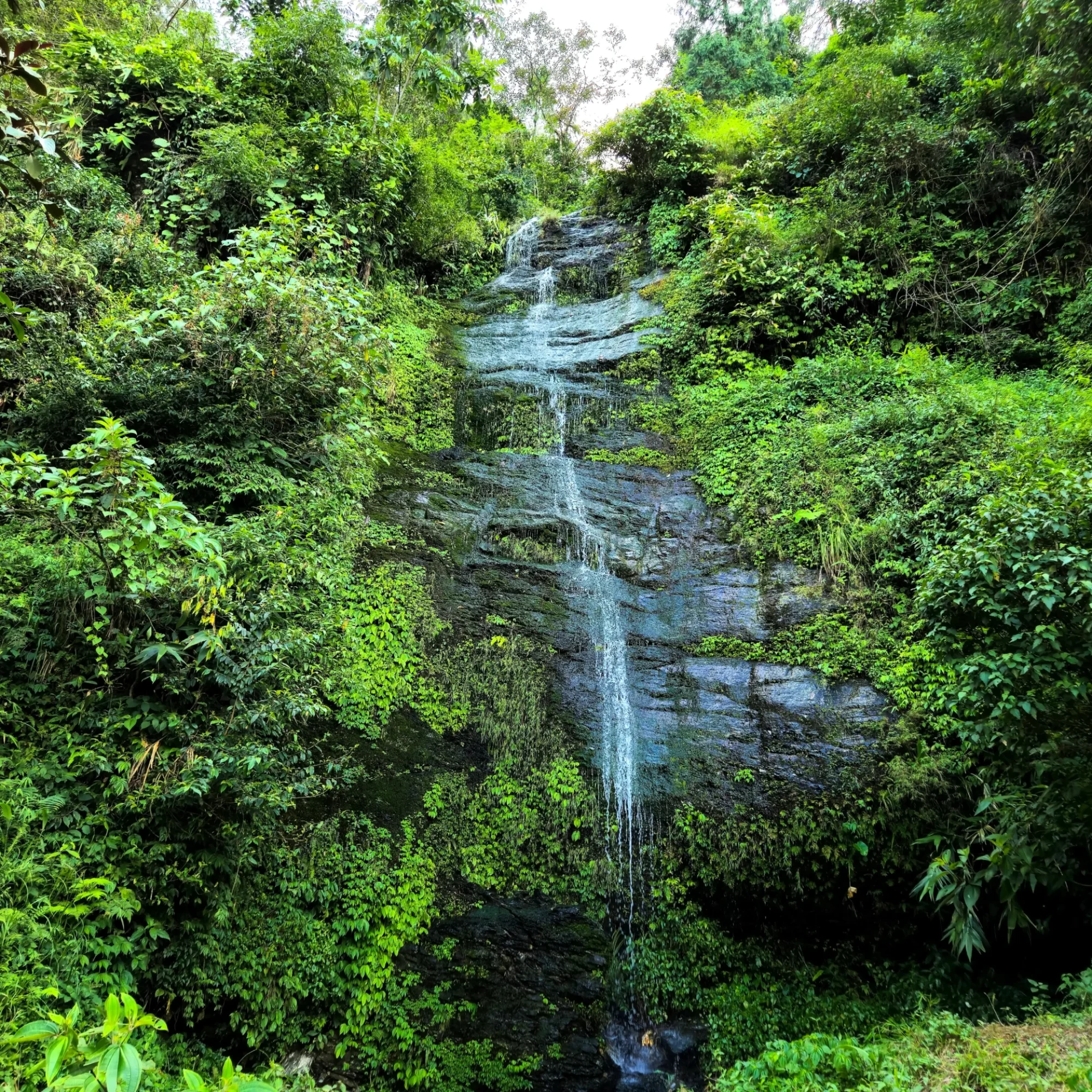 pexels-sabyasachi-das-45419624-29066706